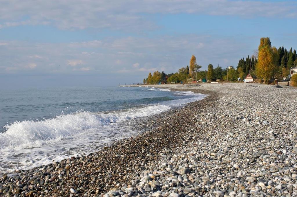 Бархат Tsandrypsh Bagian luar foto